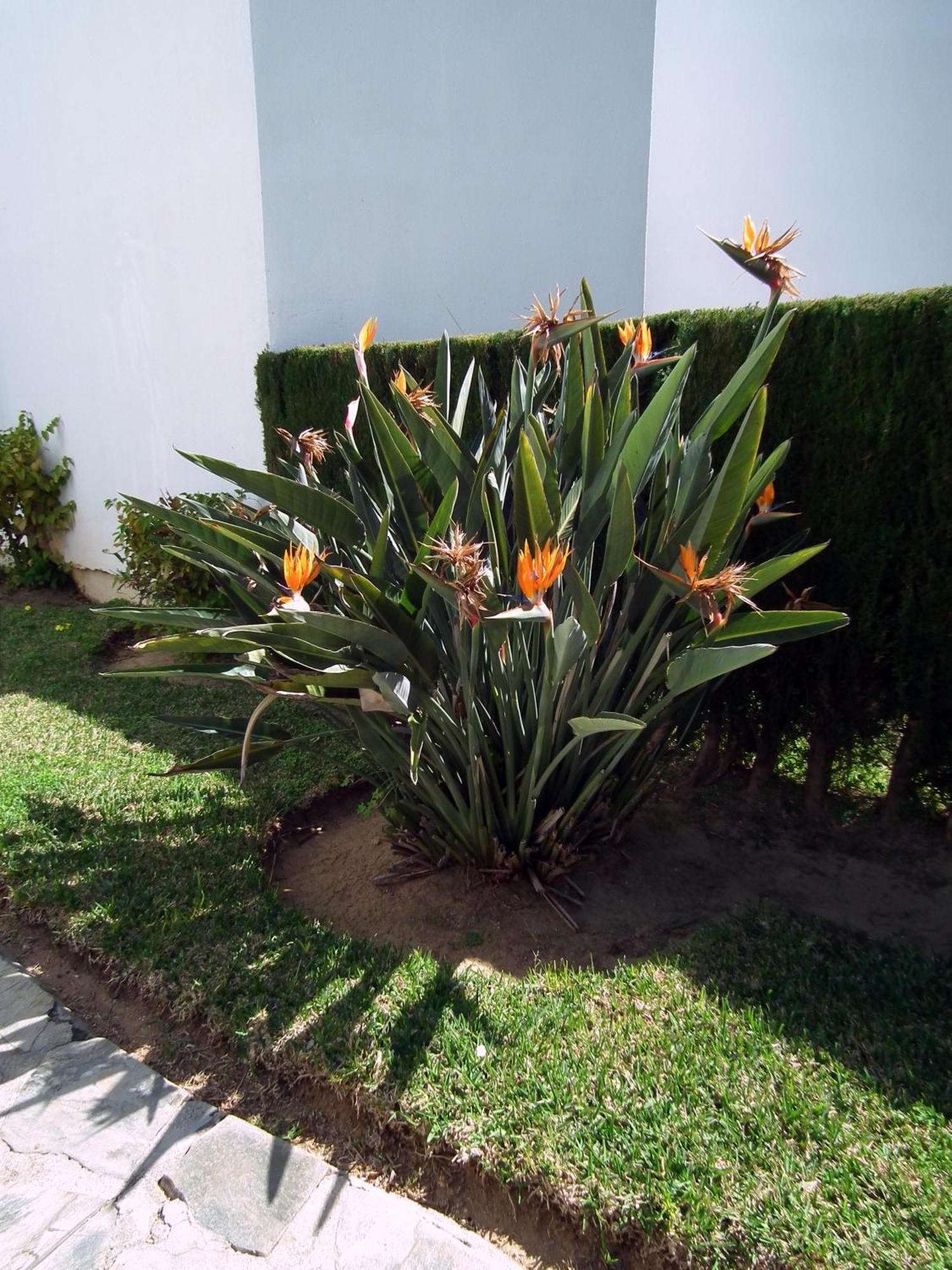 Apartamento Nerja Playa Burriana Экстерьер фото